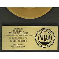 Pointer Sisters He’s So Shy RIAA Gold Single Award - Record Award
