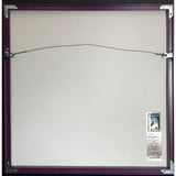 Poison Greatest Hits 1986-1996 RIAA Platinum Album Award - Record Award