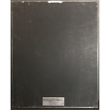 Prince and the Revolution Parade RIAA Gold Album Award - Record Award