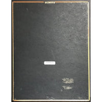 R Kelly & Public Announcement Born Into The 90s RIAA Gold Album Award Record Award