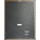 R Kelly & Public Announcement Born Into The 90s RIAA Gold Album Award Record Award