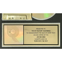 R Kelly & Public Announcement Born Into The 90s RIAA Gold Album Award Record Award