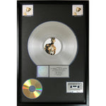 R Kelly TP-2.COM RIAA 2x Multi-Platinum Album Award - Record Award
