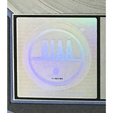 R Kelly TP-2.COM RIAA 2x Multi-Platinum Album Award - Record Award