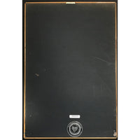 R Kelly TP-2.COM RIAA 2x Multi-Platinum Album Award - Record Award