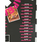 Red Hot Chili Peppers 2022 Global Stadium Tour Award - Record Award