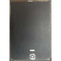 Ricky Martin debut RIAA 7x Multi-Platinum Album Award - Record Award