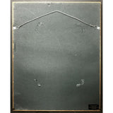 Robert Palmer Heavy Nova RIAA Gold Album Award - Record Award