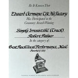 Robert Palmer Heavy Nova RIAA Platinum Album Award - Record Award