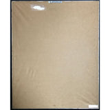 Scandal ft. Patty Smyth Warrior RIAA Platinum Album Award - Record Award