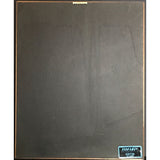 Slaughter Stick It To Ya RIAA 2x Multi-Platinum Award signed by band - Record Award