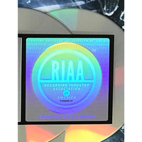 Staind Break The Cycle RIAA Platinum Album Award - Record Award