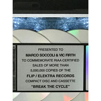 Staind Break The Cycle RIAA Platinum Album Award - Record Award