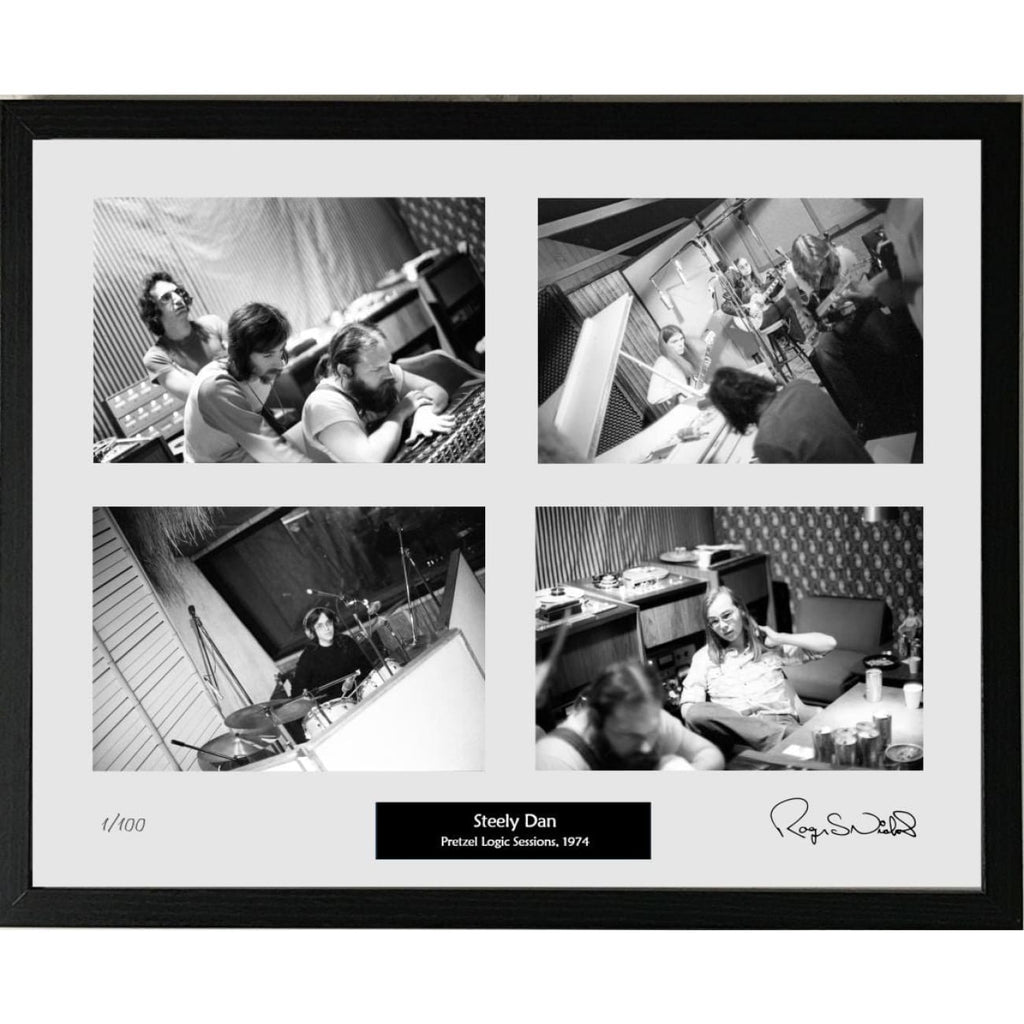 musicgoldmine.com - Steely Dan 1974 Pretzel Logic Sessions Roger