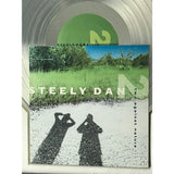 Steely Dan Two Against Nature Platinum Album Award - Record Award