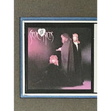Stevie Nicks The Wild Heart RIAA Platinum Album Award - Record Award