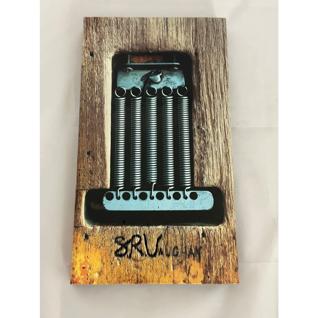 musicgoldmine.com - Stevie Ray Vaughn S.R.V. 4-CD Box Set (2000