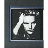 Sting Nothing Like The Sun RIAA Platinum Album Award - Record Award