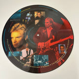Sting The Dream of the Blue Turtles 1985 UK LE Picture Disc Souvenir Pressing DREMP1 - Media
