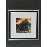 Sting The Soul Cages RIAA Platinum Album Award - Record Award