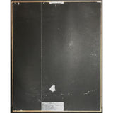 Sting The Soul Cages RIAA Platinum Album Award - Record Award