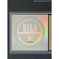 Stone Sour Come What(Ever) May RIAA Gold Album Award presented to guitarist - Record Award