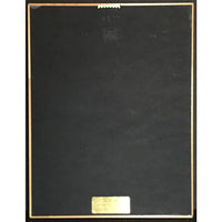 Stone Sour Come What(Ever) May RIAA Gold Album Award presented to guitarist - Record Award