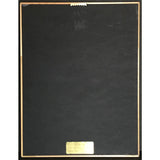 Stone Sour Come What(Ever) May RIAA Gold Album Award presented to guitarist - Record Award