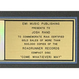 Stone Sour Come What(Ever) May RIAA Gold Album Award presented to guitarist - Record Award