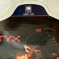 Styx ’Don’t Let It End’ UK Import 1983 Picture Disc 45 Record AMX120 - Media