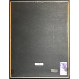 Tapestry Revisited - A Tribute To Carole King RIAA Gold Album Award - Record Award