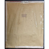 The B-52’s debut RIAA Gold Album Award - Record Award