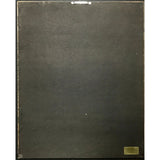 The Doors Best Of The Doors RIAA Gold Album Award - Record Award