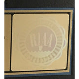 The Doors Best Of The Doors RIAA Gold Album Award - Record Award