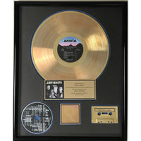 The Jeff Healey Band Hell To Pay RIAA Gold Album Award - Record Award