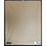 The Notorious B.I.G. ’One More Chance’ Platinum Single Award - Record Award