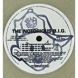 The Notorious B.I.G. ’One More Chance’ Platinum Single Award - Record Award