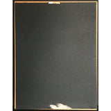 The Notorious B.I.G. Ready To Die RIAA 2x Multi-Platinum Album Award - Record Award