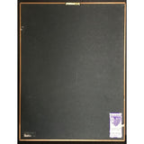 The Notorious B.I.G. Ready To Die RIAA Platinum Album Award - Record Award