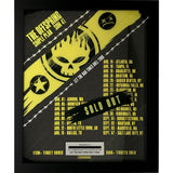 The Offspring Simple Plan Sum 41 ’Let The Bad Times Roll’ Tour Award - Record Award