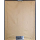 Timmy T ’One More Try’ RIAA Platinum Maxi-Single Award - Record Award