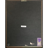 TLC ’Creep’ RIAA Platinum Single Award + Grammy Win Certificate - RARE - Record Award