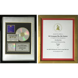 TLC ’Creep’ RIAA Platinum Single Award + Grammy Win Certificate - RARE - Record Award