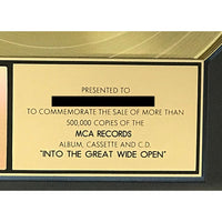 Tom Petty & The Heartbreakers Into The Great Wide Open RIAA Gold Album Award - Record Award