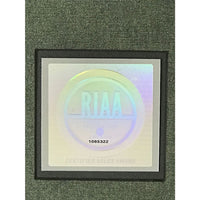 U2 The Best Of 1990-2000 RIAA Platinum Album Award - Record Award