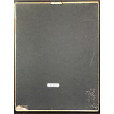 Vanessa Williams The Sweetest Days RIAA Platinum Album Award - Record Award