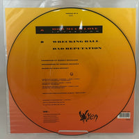 Vixen ’How Much Love’ 1990 12’’ Picture Disc UK Import Limited Ed 12MTPD 87 - Media