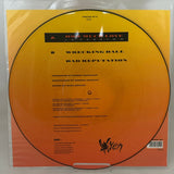 Vixen ’How Much Love’ 1990 12’’ Picture Disc UK Import Limited Ed 12MTPD 87 - Media