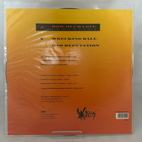 Vixen ’How Much Love’ 1990 12’’ Picture Disc UK Import Limited Ed 12MTPD 87 - Media
