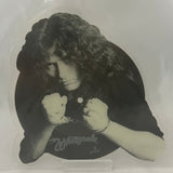 Whitesnake ’Guilty of Love’ 1983 7’’ Picture Disc UK Import BPP420 - Media